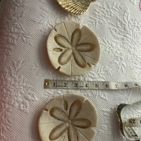Sand Dollars  and shell Decor Set - Picture 9 of 11